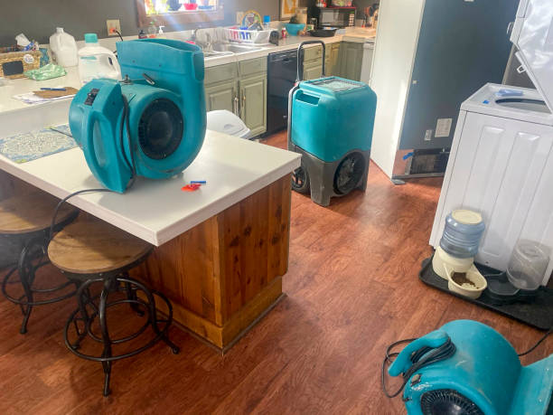 Best Water damage cleanup near me  in Shenorock, NY