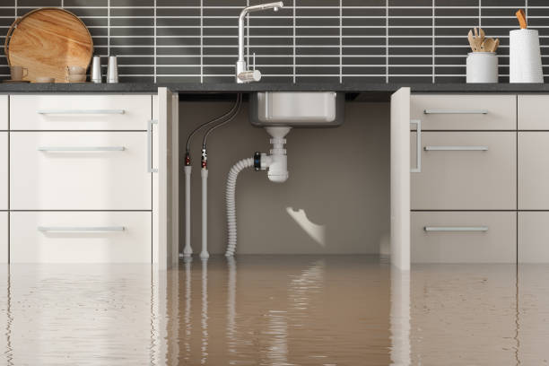 Best Water damage restoration near me  in Shenorock, NY