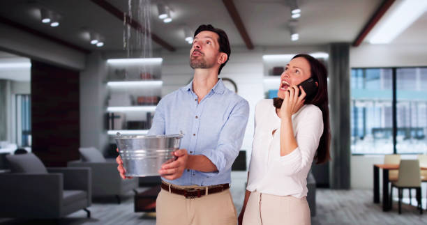 Best Sewage cleanup and water damage restoration  in Shenorock, NY