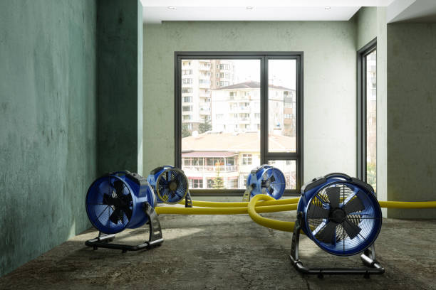 Best Water damage contractors near me  in Shenorock, NY